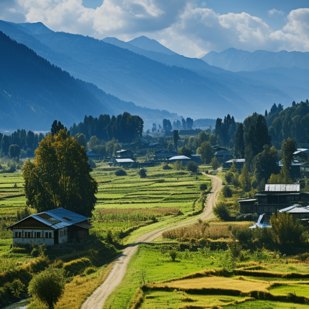 Kashmir